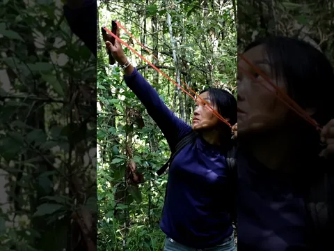 Hunter slingshoot ep324 #animals #wildlife #nature