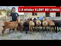 Download Lagu ABRORDAN 1.8-mlndan ARZON QO'ZILAR HAM KELDI SHOSHILING