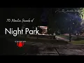 Village Night Park Sound for Meditation 30 Minutes