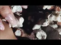 [ 1 HOUR LOOP ] NIKI - Tsunami