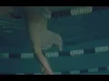 Buzzy Lee - You Should Be Alone (Visualizer)