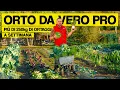 50 kg di ORTAGGI a SETTIMANA: quanto SI GUADAGNA vendendo al MERCATO? | Stato Brado Farm ep.2