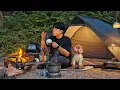 Download Lagu Camping in Forest with My Dog . Korean Spicy Grilled Pork Belly . Wood Stove ASMR