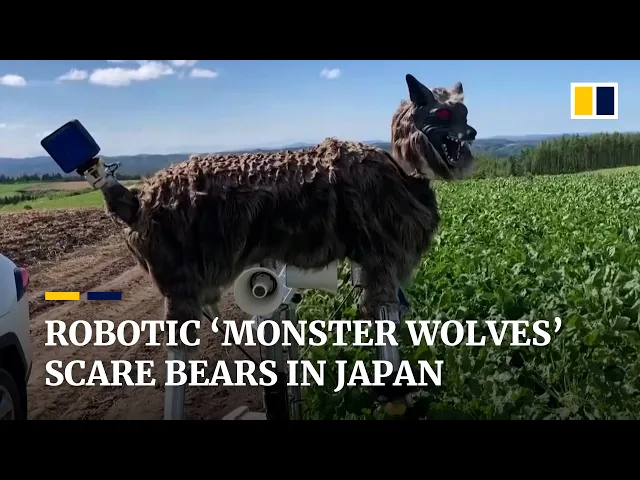 Bear scare: ‘monster wolf’ robots protect Japanese towns from hungry marauding bruins