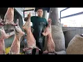 Download Lagu 2 Tons of Tandoor Meat Every Month! | Traditional Qashqadaryo Recipe in Samarkand