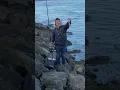what we caught in Cape Cod on Thanksgiving Day