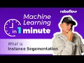 What is Instance Segmentation - ML1M