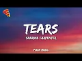 Download Lagu Tears - Sabrina Carpenter (Lyrics)