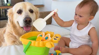 Golden Retriever Joins Baby’s Adorable Toy Time!