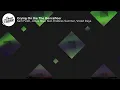 Sam Feldt, Jonas Blue - Crying On The Dancefloor (Lyrics) feat. Endless Summer, Violet Days