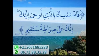إبطال سحر البطون و الخلايا و الغدد والعضلات والكلا والمعدة 