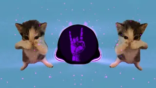 dj kicau kicau kicau mania slow viral tiktok full song maman fvndy 2026