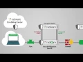 SSL Attacks TLS Attacks DDoS Mitigation Solutions - Radware