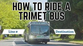 How to Ride a TriMet Bus