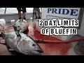 2 DAY LIMITS OF BLUEFIN TUNA ON THE PRIDE SPORTFISHING