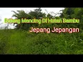 Download Lagu Mancing Di Hutan Tirai Bambu