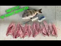 How to Filet Sheepshead FAST