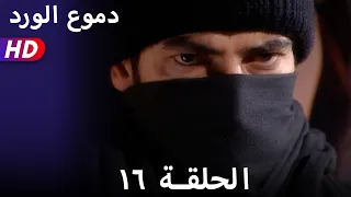 دموع الورد الحلقة ١٦ بجودة عالية 
