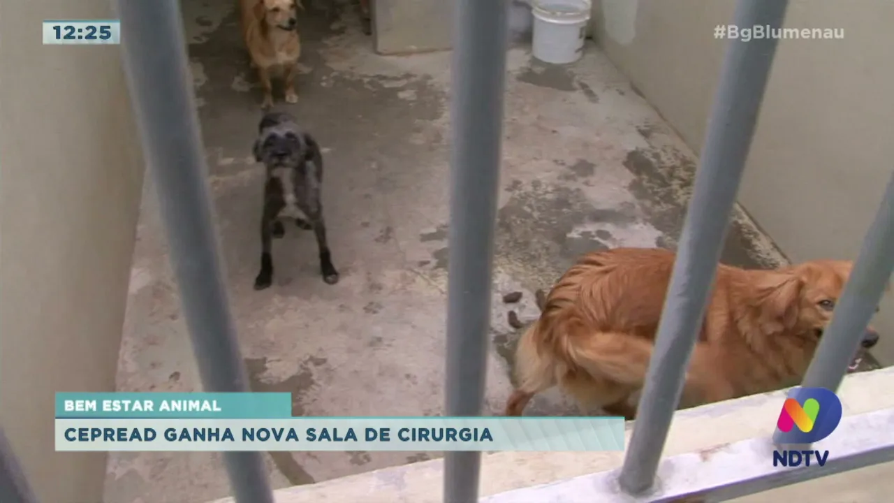 Cepread ganha nova sala de cirurgia para castração de animais em Blumenau
