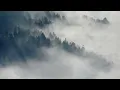 Glacier (feat. Young Collective) I inola #music #cinematic #rest