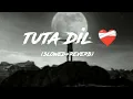 Tuta Dil (slowed reverb)| Ranjit Rana | Latest Song | P StarAudio