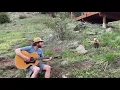 Andy Thorn sings Fox on The Run to a wild fox