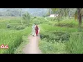 Download Lagu Jalan sawah perkampungan