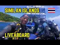 Download Lagu Similan \u0026 Surin Islands Diving Adventure  | 6 Days Liveaboard on MV Bavaria | Thailand | May 2025