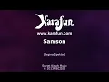 Samson - Regina Spektor | Karaoke Version | KaraFun