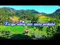 Download Lagu Kecapi Suling Dan Suara Burung Perkutut Bikin Kangen Suasana Pedesaan