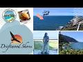 Is Driftwood Shores Resort the Hidden Gem of Florence Beach Resorts