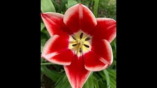 mysterious ways u2 earth version cover by mike l