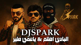 ريمكس البادي اظلم ياعمي طير DJ SPARK 