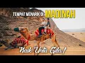Lagu Tempat RARE Di Madinah! - Naik Unta gila \u0026 Nightlife dalam Kebun Kurma