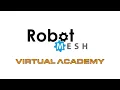 Robot Mesh Virtual Academy
