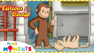 George the Cat Hero!  | Curious George | Mini Moments