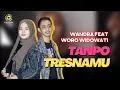 Download Lagu Wandra feat. Woro Widowati -Tanpo Tresnamu (Official Music Video)