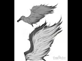 Tried drawing wings