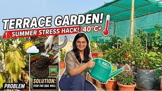 Ugaoo organic Vermicompost fertilizer and Cowdung manure for plants 