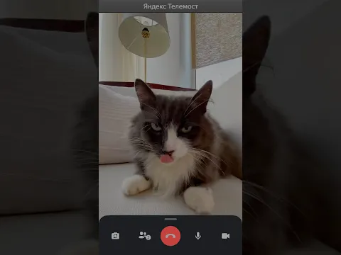 Кто украл телефон?