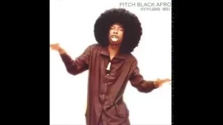 pitch black afro a day in the life feat selwyn