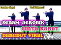 Download Lagu SENAM AEROBIK TERBARU - DANGDUT - RINGAN - MUDAH DIIKUTI