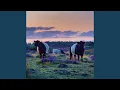 Download Lagu Sun (feat. Solveig Sørbø, Saleh Mahfoud, Michaela Antalová, Torgeir Koppang \u0026 Leila Matta)