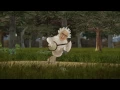 Steve Martin & The Steep Canyon Rangers | Jubilation Day (Official Video)