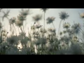 Cool Moving Wallpapers Gif