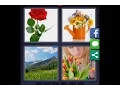 4 Pics 1 Word - Level 487 iphone Android iOS