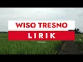 Lagu WISO TRESNO - LIRIK 2023