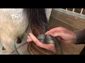 Tie A Mustache Knot with Martin Black