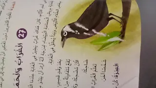 قصة الغراب و الحمامة 