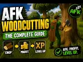 How to AFK Woodcutting to 99 OSRS Full Guide